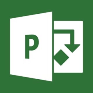 Project Professional 2021